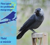 Ptaki w mi... -  Polish Bookstore 