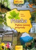 Polska pię... - Ilona Jarosz -  books in polish 