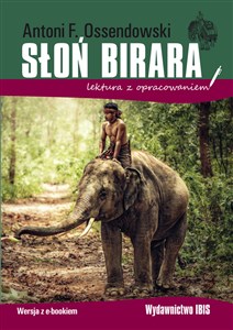 Obrazek Słoń Birara lektura z opracowaniem