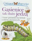 Polska książka : Ciekawe dl... - Belinda Weber