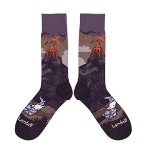 Picture of Skarpetki - Lamdalf rozm. 42/46