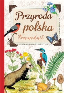 Obrazek Przyroda polska Przewodnik