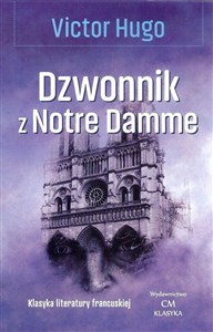 Picture of Dzwonnik z Notre Damme