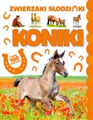Koniki - Opracowanie Zbiorowe -  foreign books in polish 