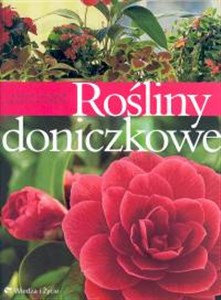 Picture of Rośliny doniczkowe