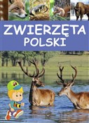 Zwierzęta ... - Opracowanie Zbiorowe -  Polish Bookstore 