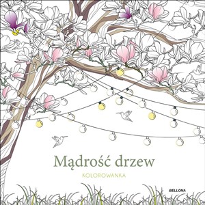 Picture of Mądrość drzew kolorowanka