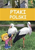 Ptaki Pols... - Dominik Marchowski -  foreign books in polish 