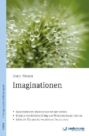 Picture of ABRAM, A: IMAGINATIONEN