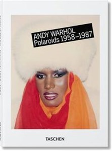 Picture of Polaroids 1958-1987
