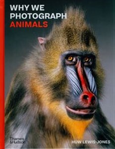 Picture of Why We Photograph Animals