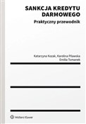 Sankcja kr... - Katarzyna Kozak, Karolina Pilawska, Emilia Tomanek -  Książka z wysyłką do UK