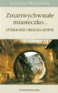 Obrazek Zmartwychwstałe miasteczko... Literackie oblicza sztełt