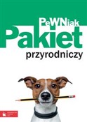 Pewniak Gi... -  Polish Bookstore 