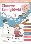 Zimowe łam... - Tamara Michałowska -  foreign books in polish 