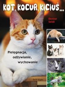 Obrazek Kot, kocur, kiciuś… Pielęgnacja, odżywianie, wychowanie