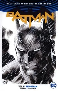Picture of Batman Vol. 1