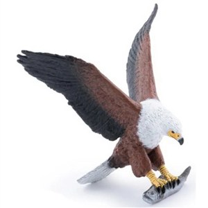 Picture of Bielik afrykański