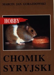 Obrazek Chomik syryjski