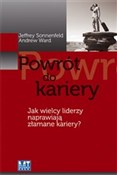 Polska książka : Powrót do ... - Jeffrey Sonnenfeld, Andrew Ward