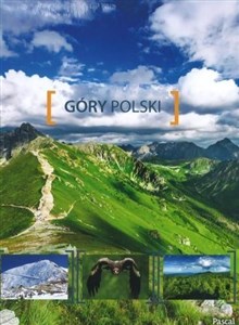Obrazek Góry Polski