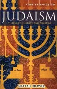 Picture of A Brief Guide to Judaism