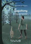Zagubiony ... - Aleksandra R.K. Stupera -  Polish Bookstore 