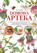 Domowa apt... - Iza Czajka -  Polish Bookstore 