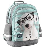 polish book : Plecak Stu...