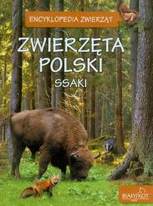 Obrazek Zwierzęta Polski Ssaki