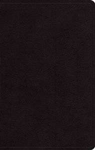 Picture of ESV Large Print Personal Size Bible (Black)