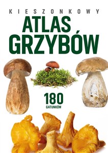 Obrazek Kieszonkowy atlas grzybów. 180 gatunków