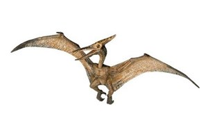 Picture of Pteranodon