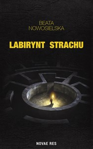 Obrazek Labirynt strachu