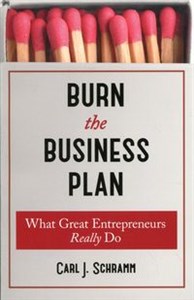 Obrazek Burn The Business Plan