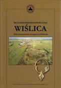 Polska książka : Wczesnośre... - Nina Glińska, Aneta Bukowska
