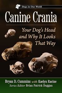 Picture of Canine Crania Your Dog’s Head and Why It Looks That Way