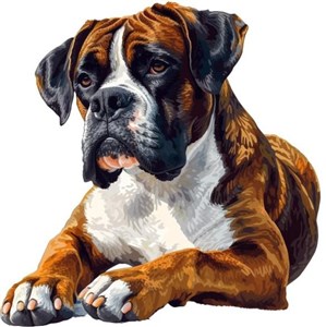 Picture of Diamentowa Mozaika Pies bokser leżący NO-2003089