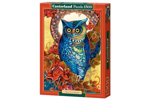 Picture of Puzzle Hoot, David Galchutt 1500