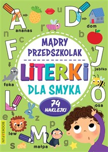 Picture of Literki dla smyka. Mądry Przedszkolak