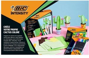 Picture of Zestaw Intensity Paper Cactus BIC