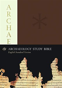 Picture of archeology study bible