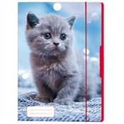 TECZKA RYS... -  Książka z wysyłką do UK