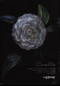 Picture of Notes szkicownik A6 Kamelia