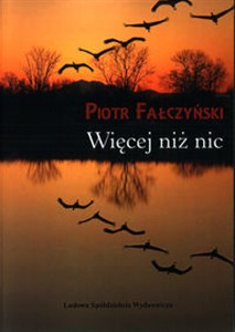 Obrazek Więcej niż nic