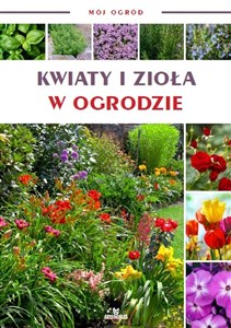 Picture of Kwiaty i zioła w ogrodzie. Mój ogród