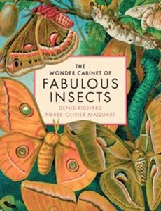 Picture of Wonder Cabinet of Fabulous Insects