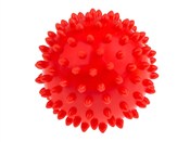 polish book : Piłka reha...