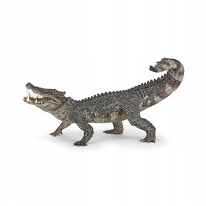 Picture of Kaprosuchus