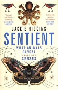 Picture of Sentient What Animals Reveal About Our Senses
